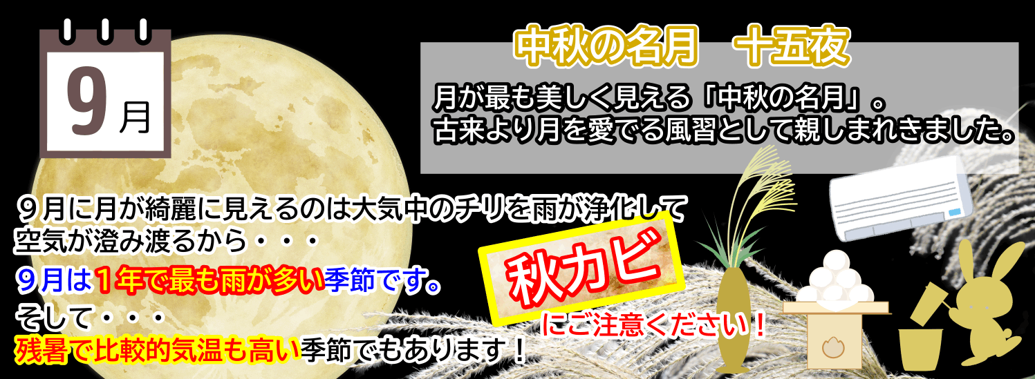 9月は秋の長雨で秋カビ注意