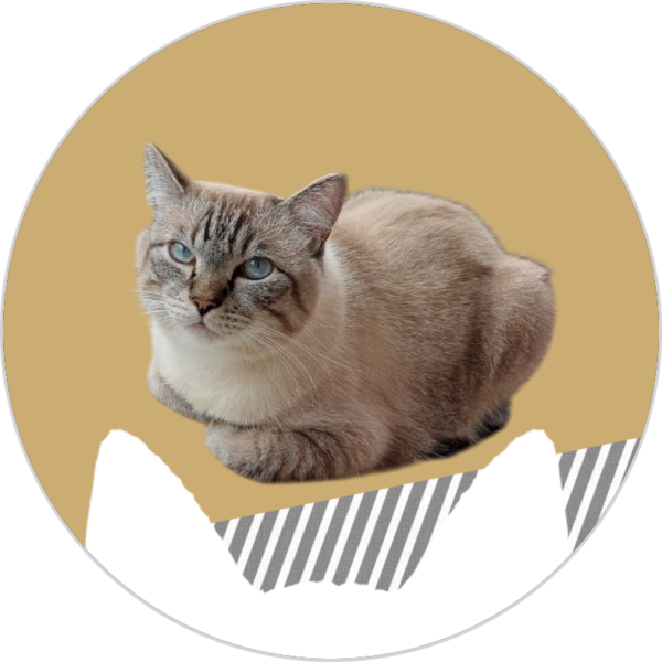 アシストライフスタッフ猫