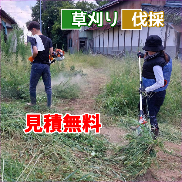 草刈り・伐採